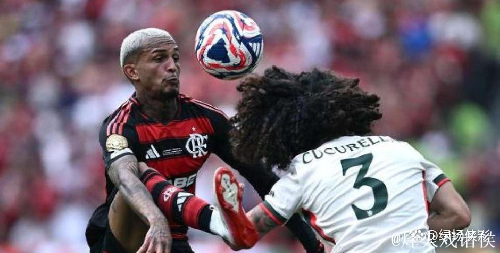 韦斯利:我在巴西最多一年进4球,罗马总监要求我在意甲翻倍 韦斯利:我在巴西最多一年进4球,罗马总监要求我在意甲翻倍